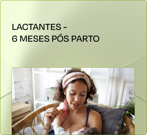 CTN-03-CF7_resultado12.webp